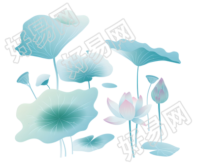荷叶夏天清新插画