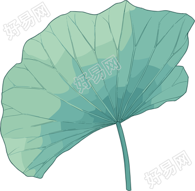 绿色荷叶夏天插画