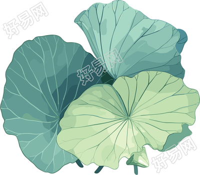 荷叶夏天透明背景素材