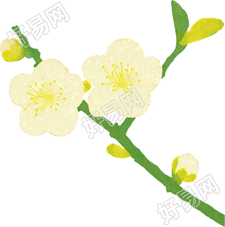樱花水彩植物插画