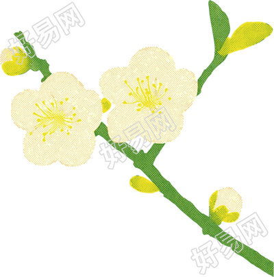 樱花水彩植物插画