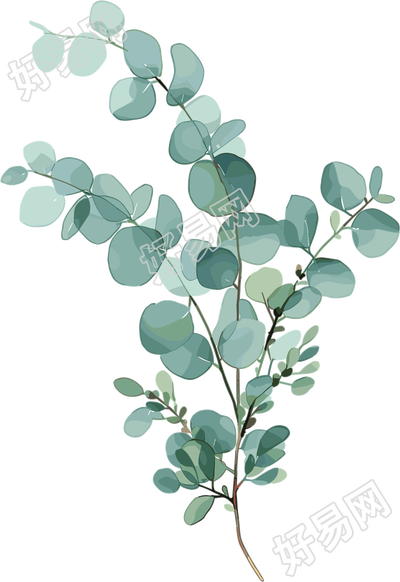 尤加利叶水彩植物元素