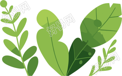 绿叶水彩植物高清PNG素材