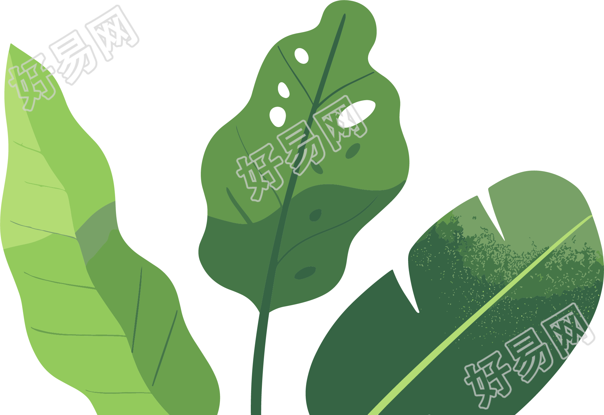 绿叶水彩植物可商用素材