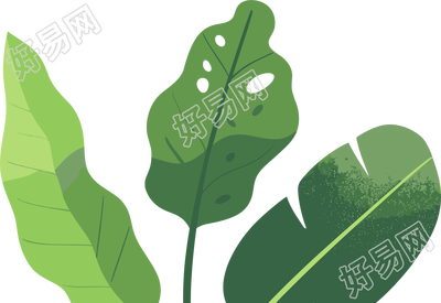 绿叶水彩植物可商用素材