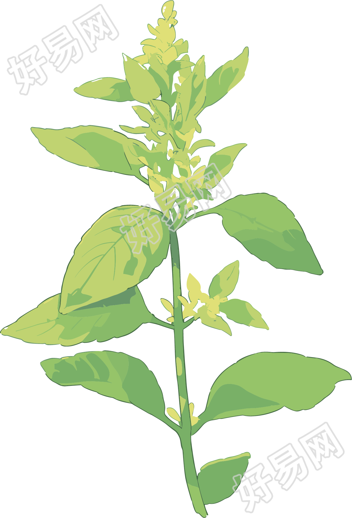 水彩植物商用图案元素