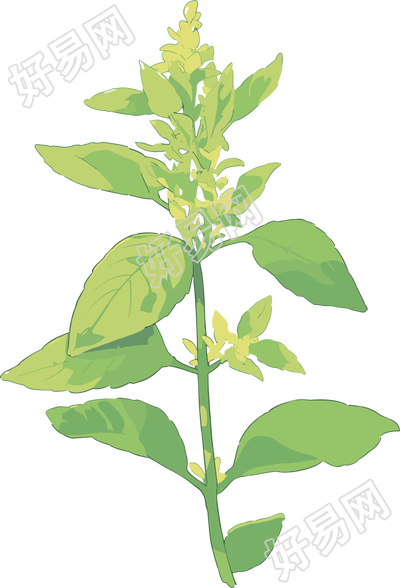 水彩植物商用图案元素