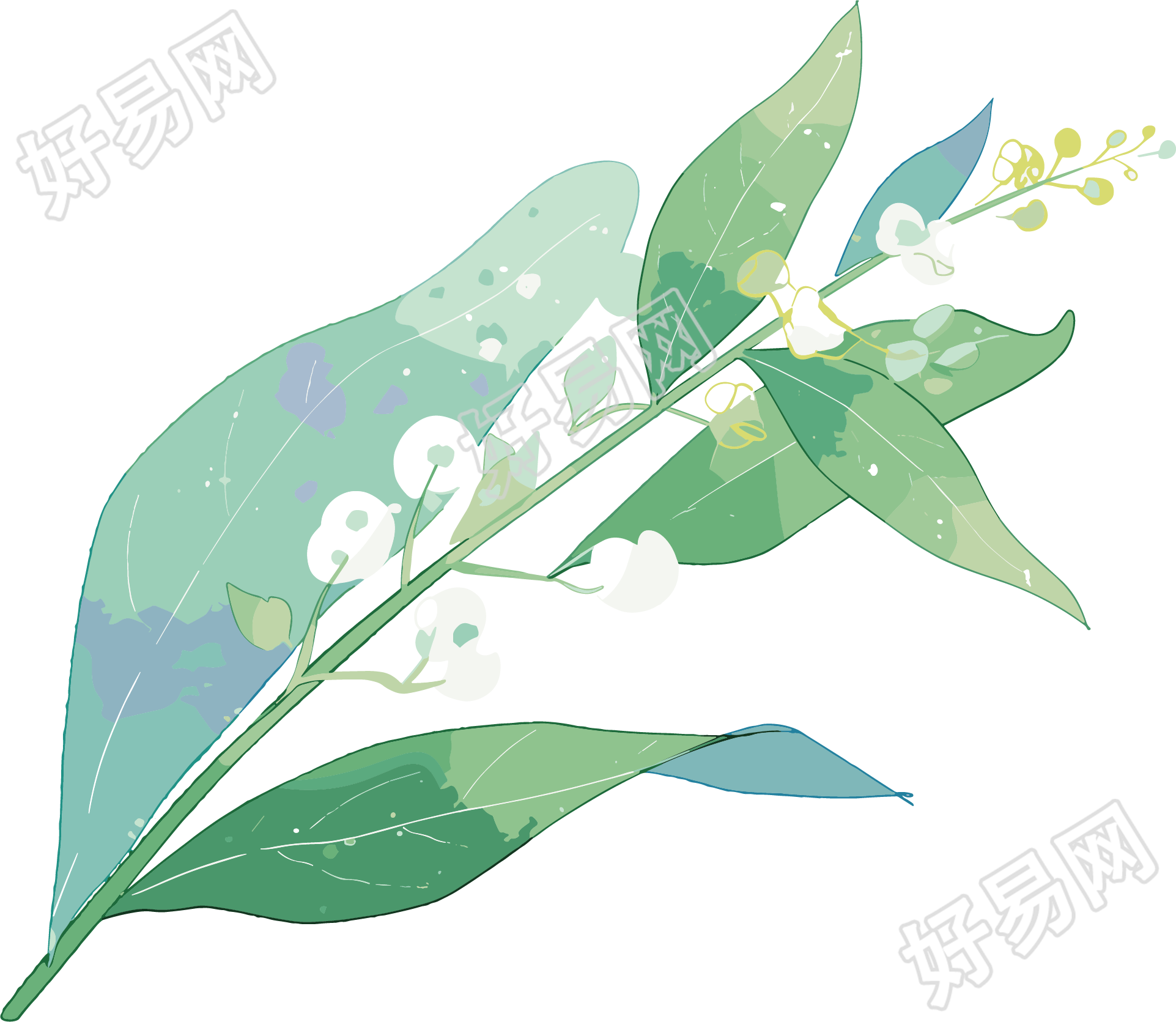 小白花水彩植物元素