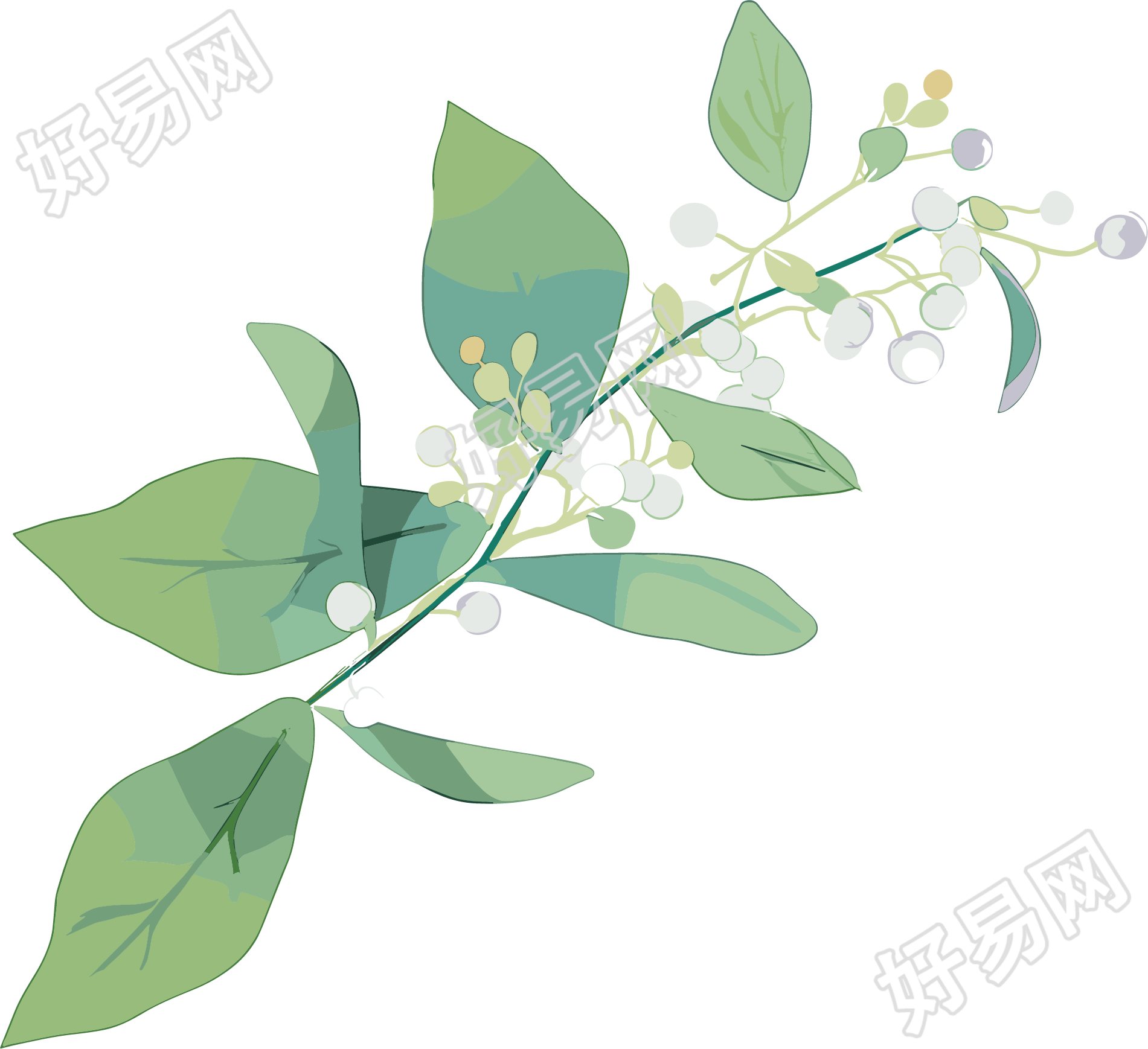 水彩植物商业设计素材