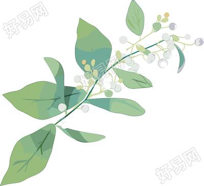 水彩植物商业设计素材