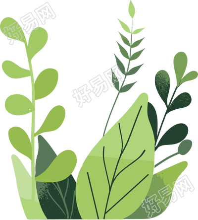 绿叶水彩植物高清素材