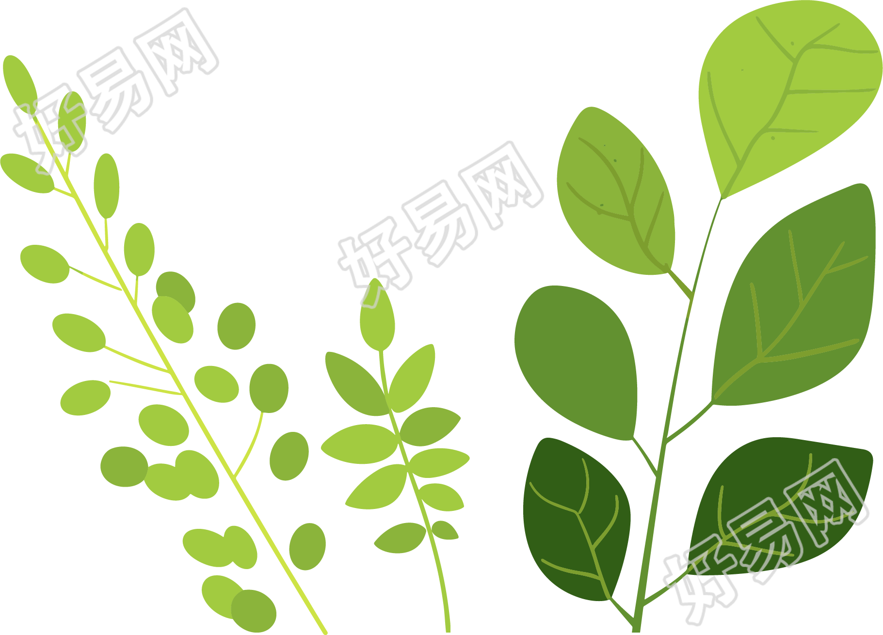 绿叶水彩植物简约风格插画