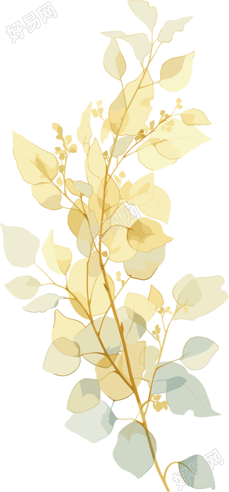 水彩植物PNG素材