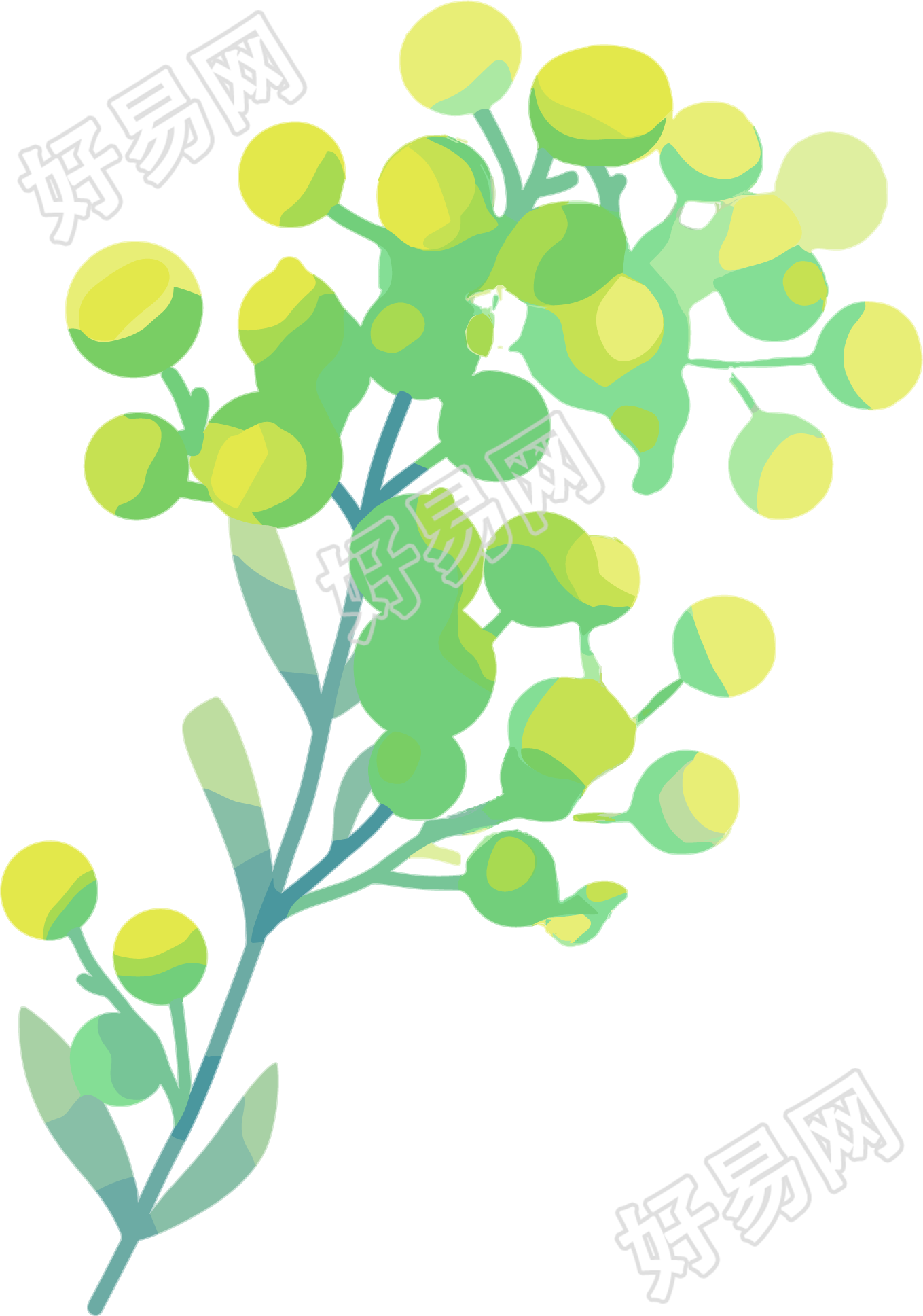 水彩植物创意插画