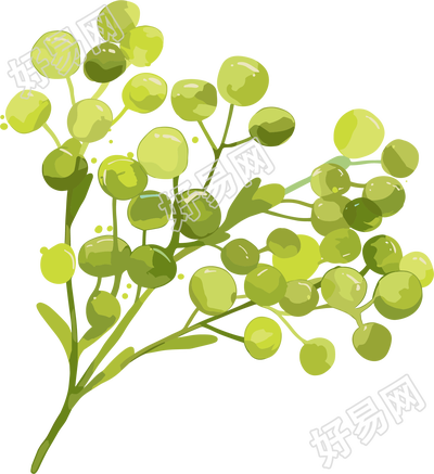 水彩植物草绿色素材