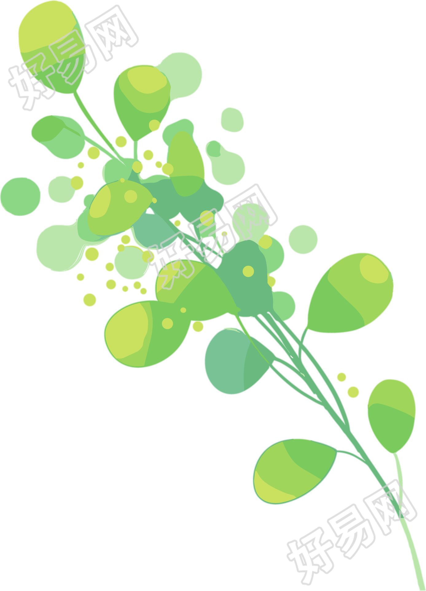 水彩植物绿叶插图