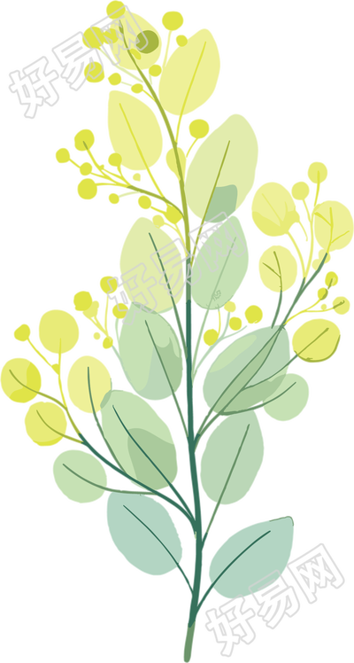 水彩植物商业使用插画