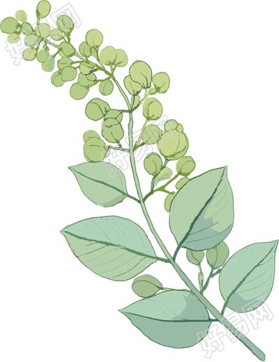 水彩植物卡通素材