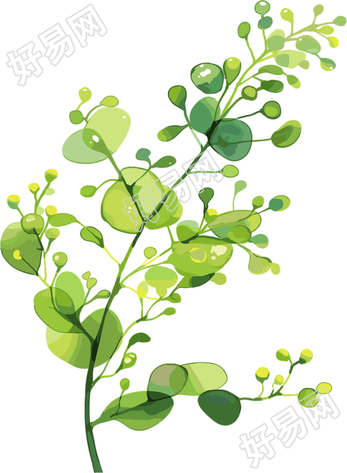 水彩植物插画素材