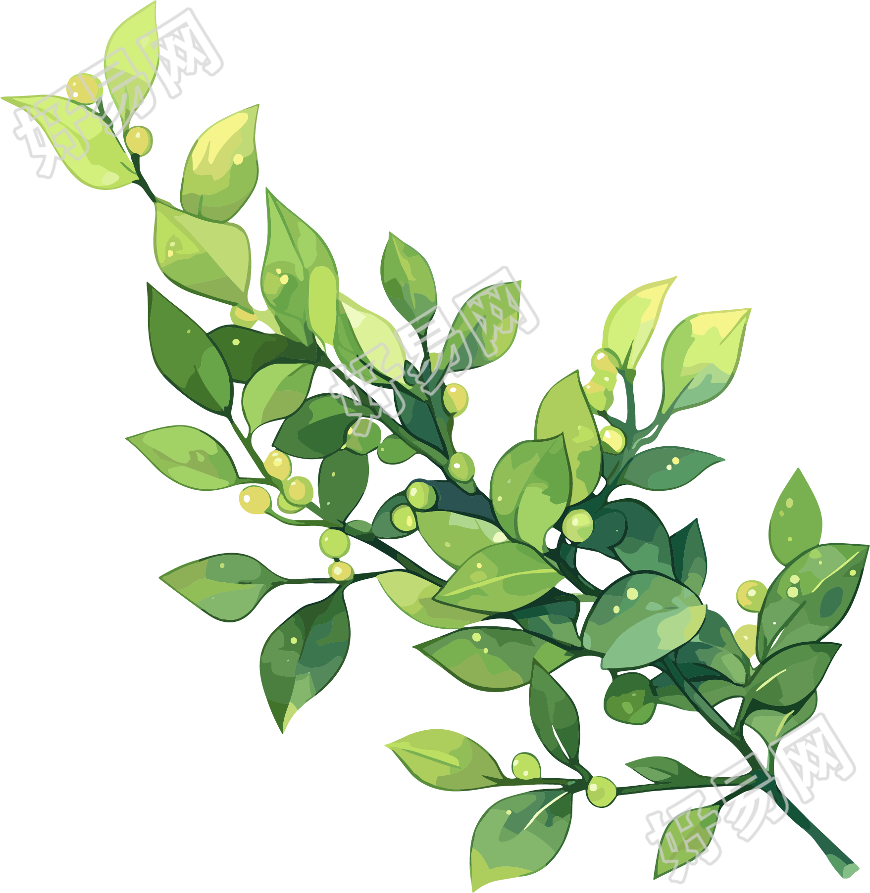 水彩植物卡通元素