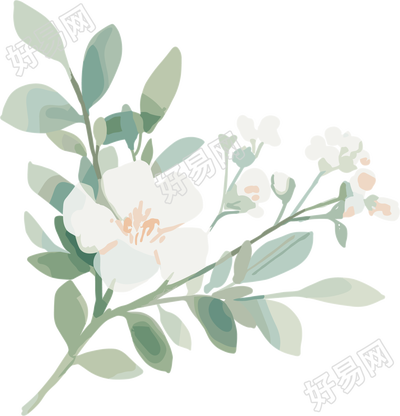 小白花水彩植物插画