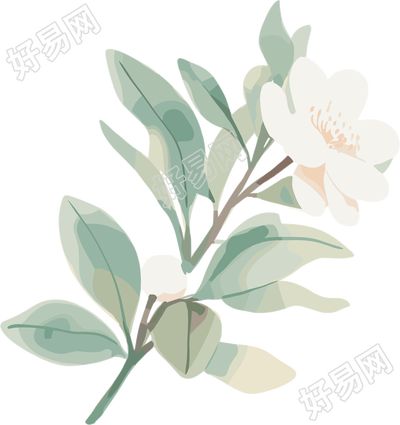 小白花水彩植物元素