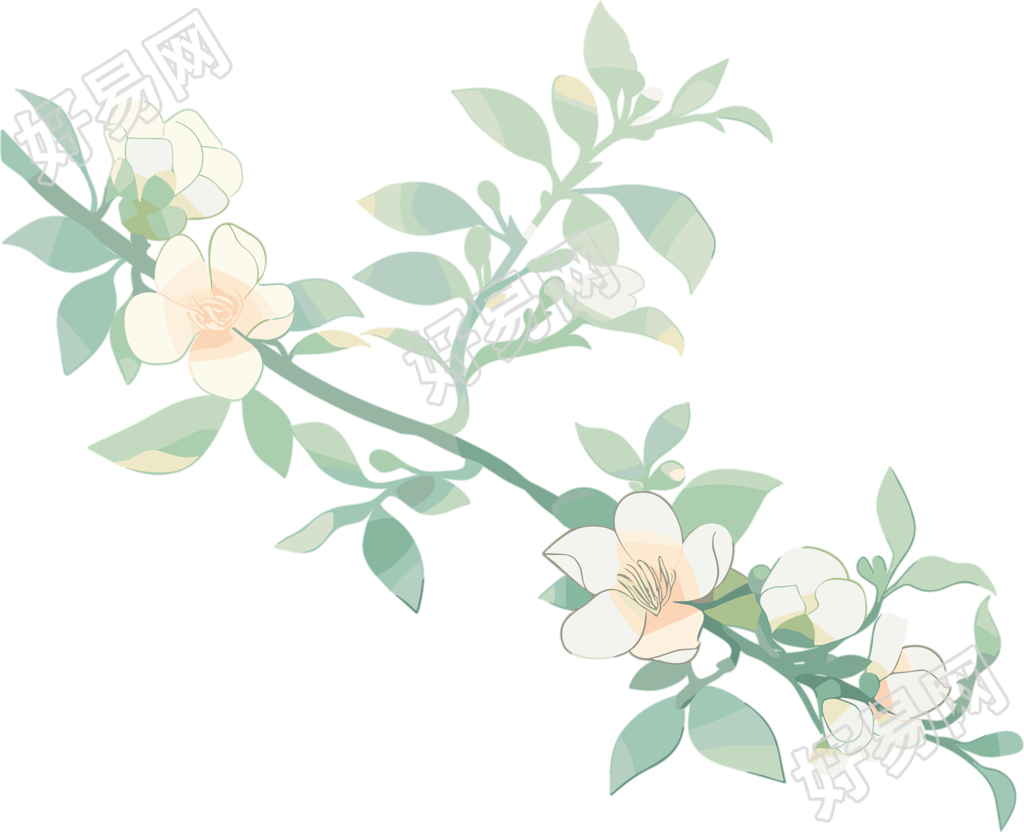小白花水彩植物素材