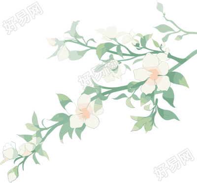 小白花水彩植物简约插图