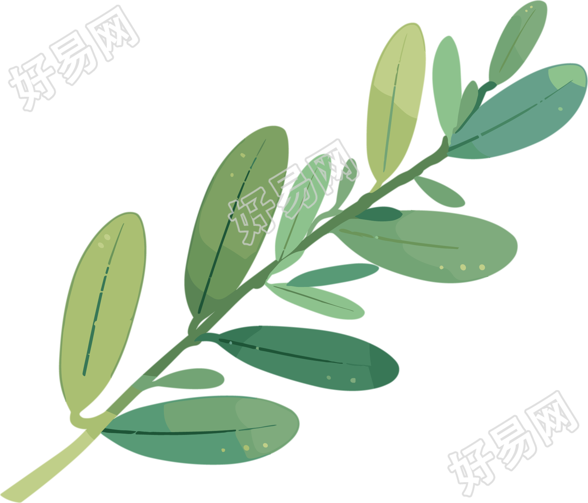 水彩植物PNG图形素材