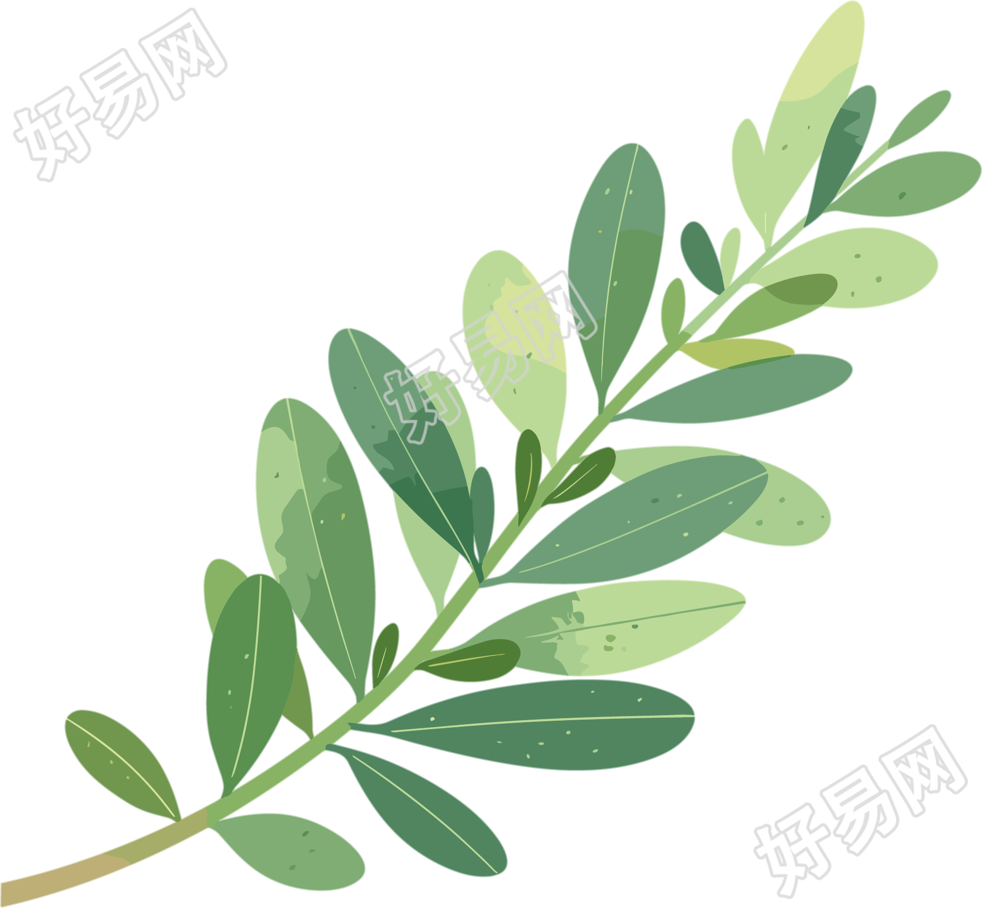 水彩植物绿叶插画