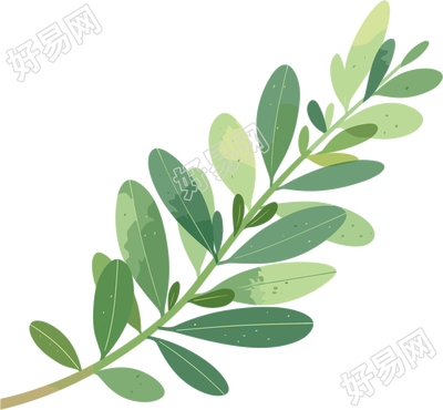水彩植物绿叶插画
