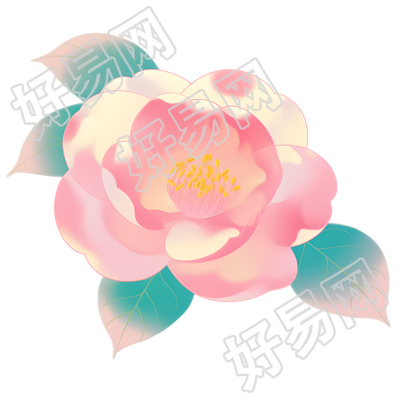 牡丹插画设计元素