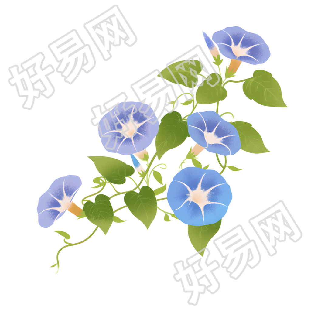 牵牛花简约风格素材