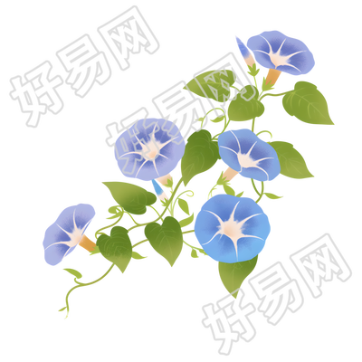 牵牛花简约风格素材
