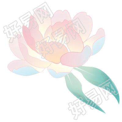 牡丹透明背景插画