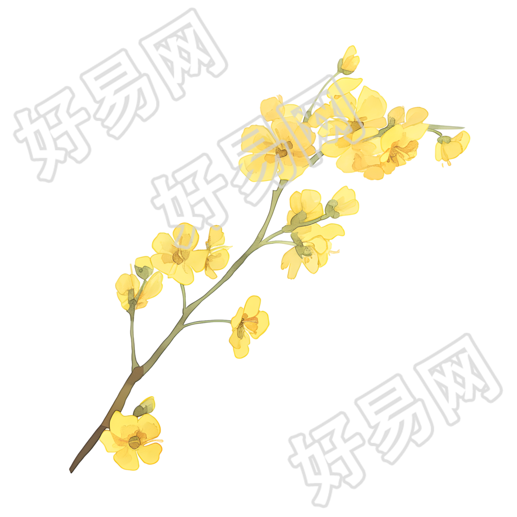 小花可商用插画