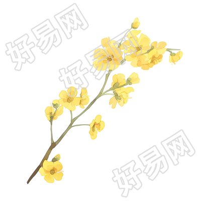 小花可商用插画