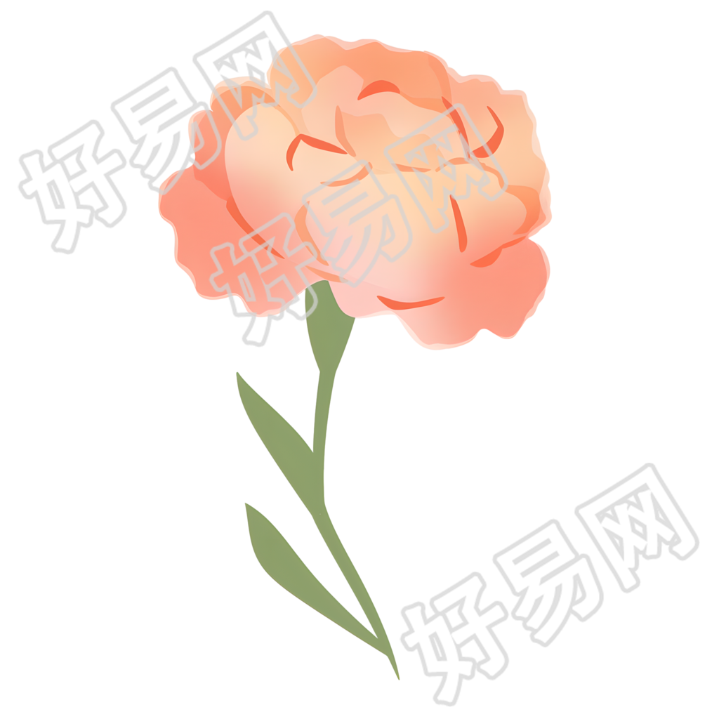 康乃馨简约风格素材