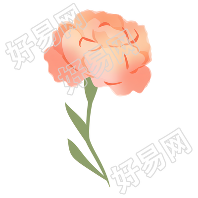 康乃馨简约风格素材
