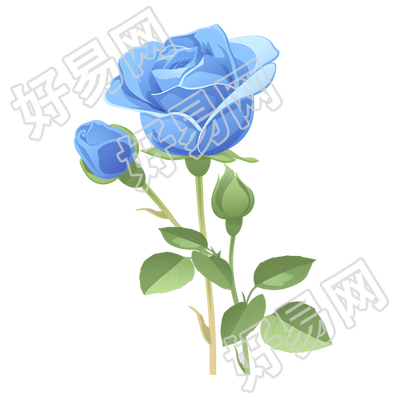 蓝玫瑰插画素材