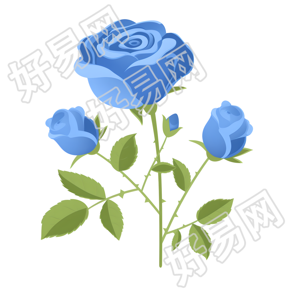 蓝玫瑰简约风格插画