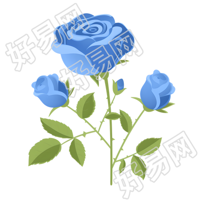 蓝玫瑰简约风格插画