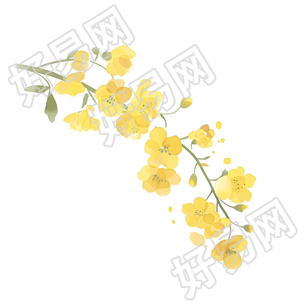 黄色小花卡通插图