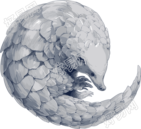 穿山甲珍稀动物插图