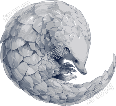 穿山甲珍稀动物插图