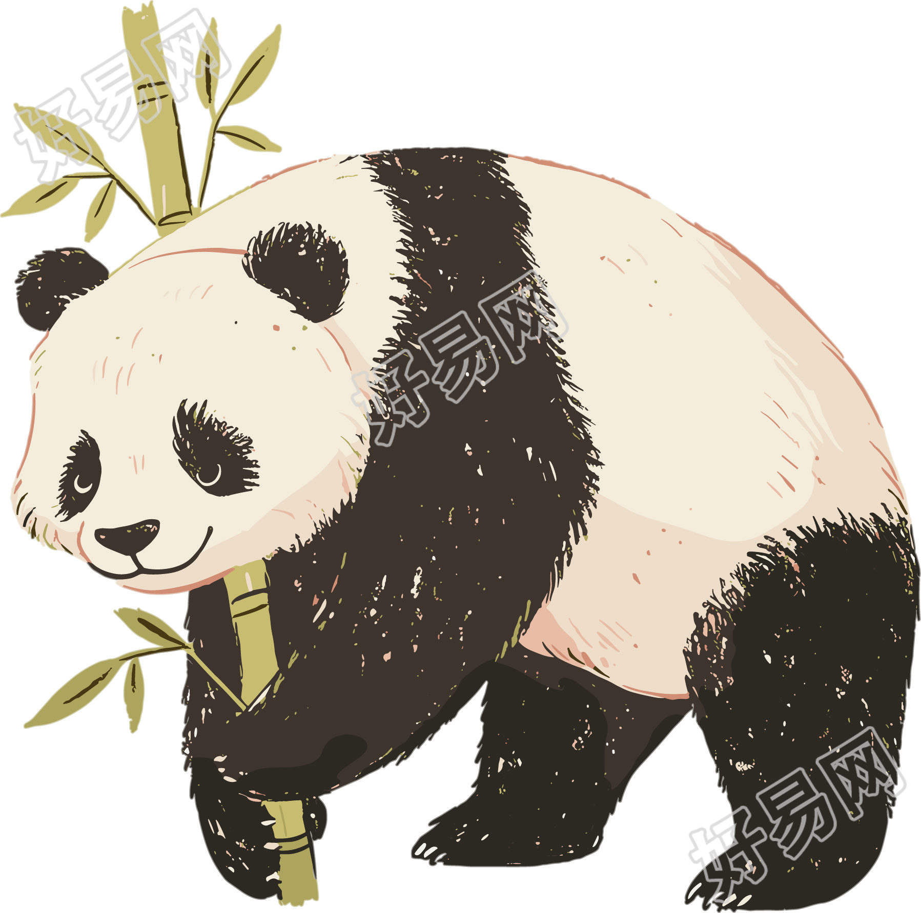 熊猫珍稀动物插画