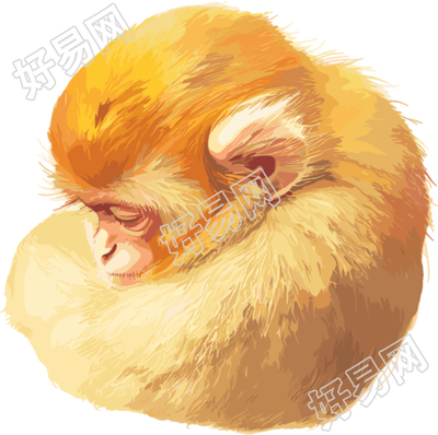 金丝猴珍稀动物元素