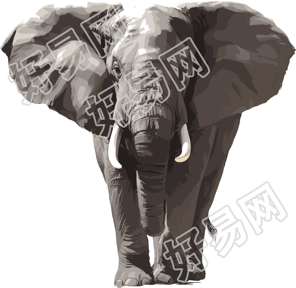 大象珍稀动物素材