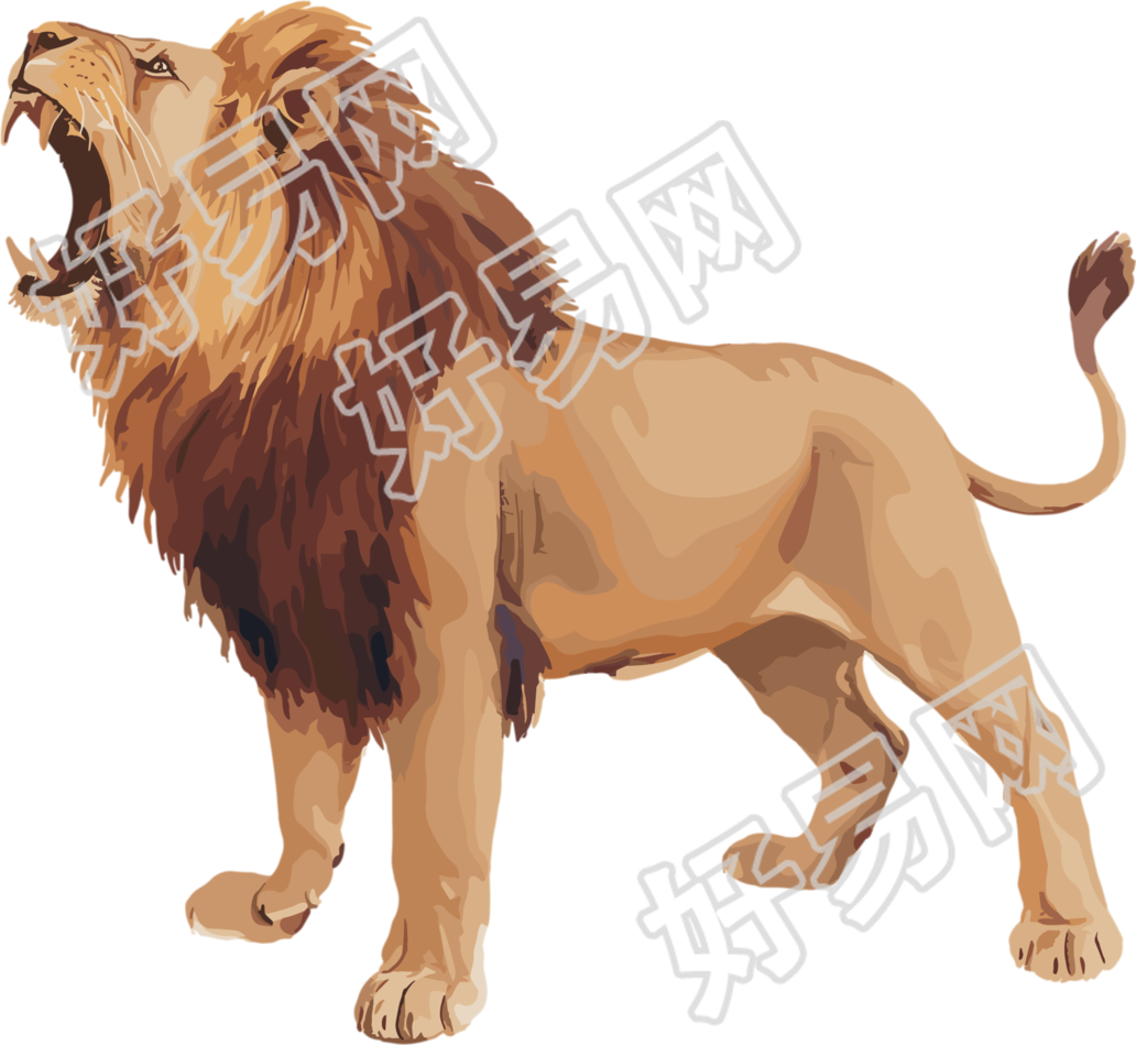 狮子珍稀动物插画