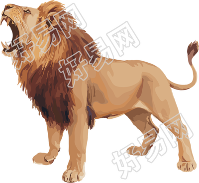 狮子珍稀动物插画